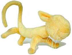Fluffy - Calder cat